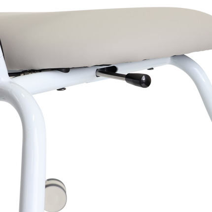 Slide n Dine Dual Control Mobility Chair - Standard Shipping