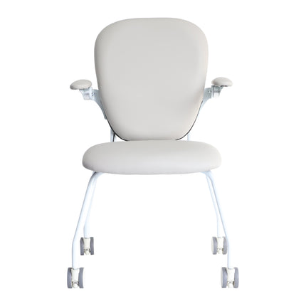Slide n Dine Dual Control Mobility Chair - Standard Shipping