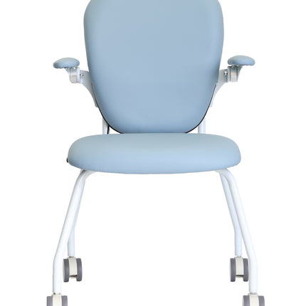 Slide n Dine Dual Control Mobility Chair - Standard Shipping