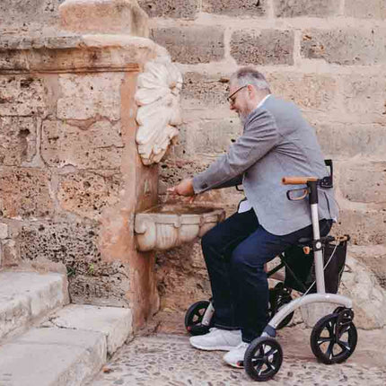 Saljol Aluminium Walker Rollator