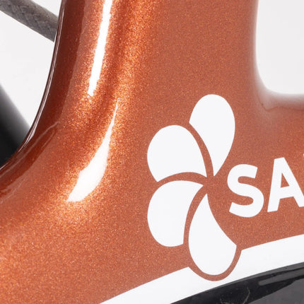 Saljol Carbon Walker Rollator
