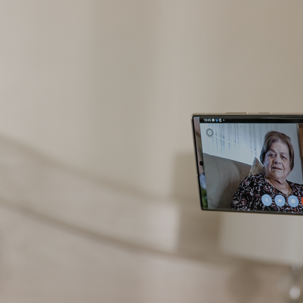 CareWindow Videophone Unit