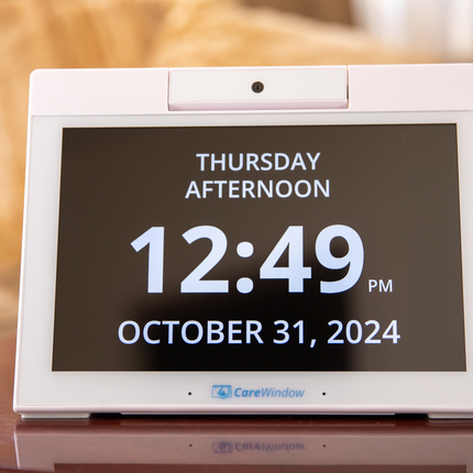 CareWindow Videophone Unit