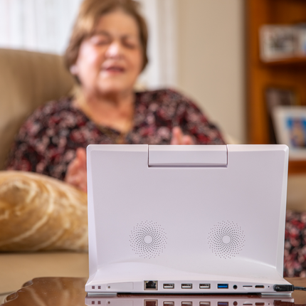 CareWindow Videophone Unit