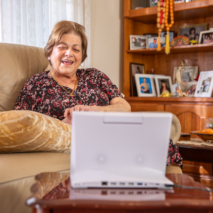 CareWindow Videophone Unit