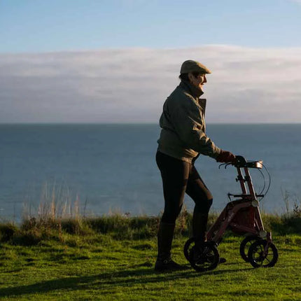 Trive Dual Folding Walker - All Terrain