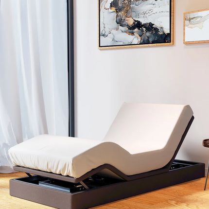 Voyager Shield Mattress HOME Cover - Platinum