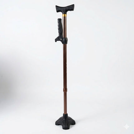 Days Sit to Stand Assist T-Handle Walking Stick