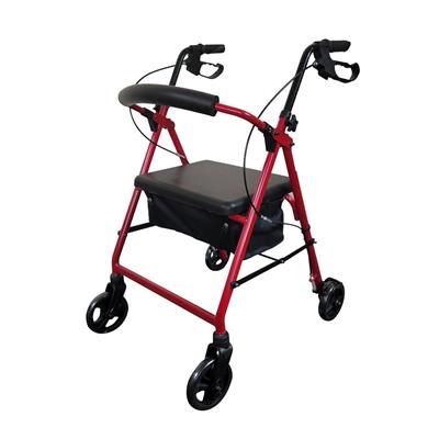 Deluxe Seat Walker