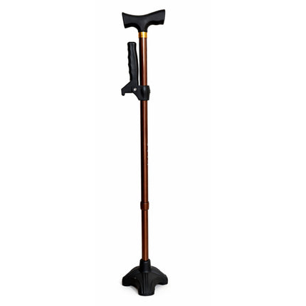 Days Sit to Stand Assist T-Handle Walking Stick