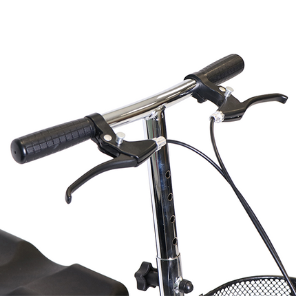 Aspire Knee Walker