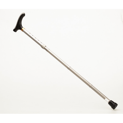 Alpha Folding Cane
