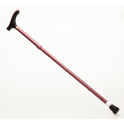 Alpha Folding Cane